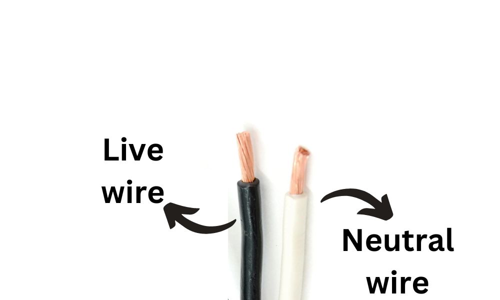 black live wire and a white neutral wire 