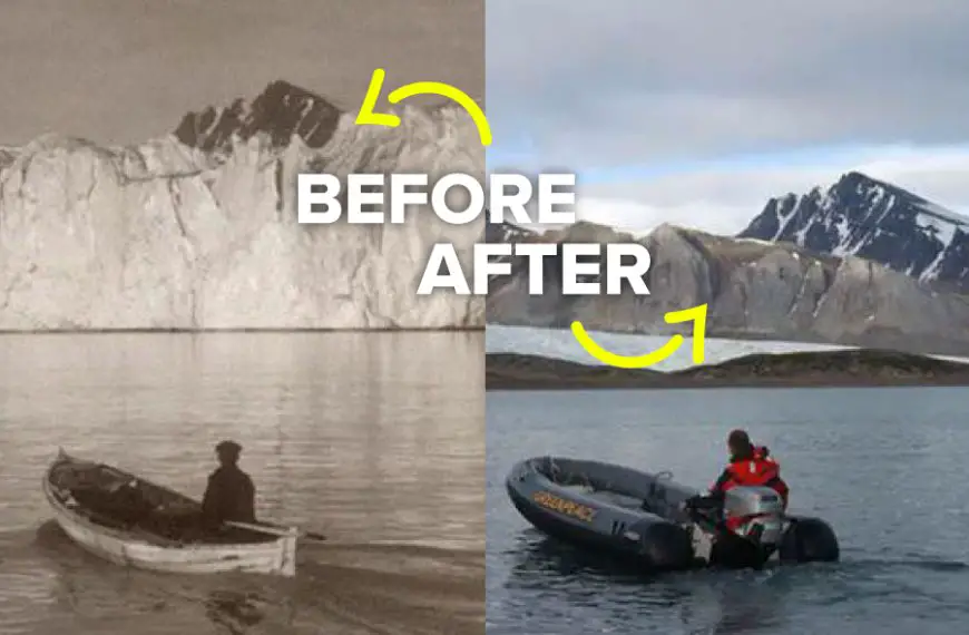 Before And After Photos Worth Watching