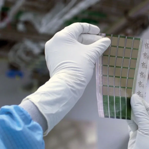 Scientists Find CO2-Eating Algae Strain That Could Help Ocean Decarbonization